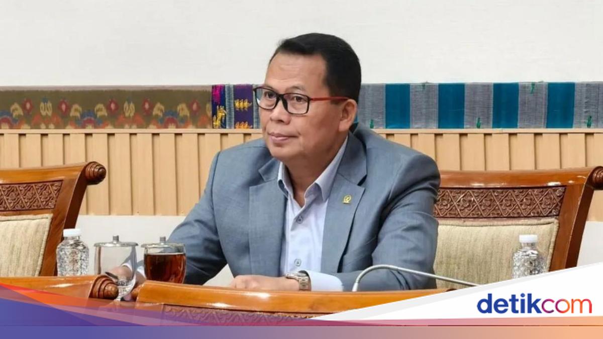 lobangpipis PAN Kutuk 27 Pria Perkosa ABG di Sampang: Segera tahapan legalitas