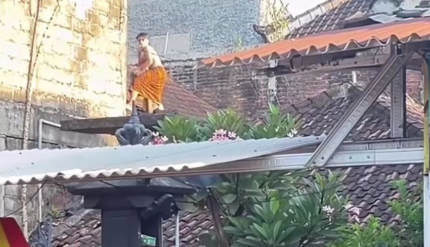 lobangpipis tidak menyusuri mulus Perkosa Terapis Spa, Pemuda diamankan Penduduk