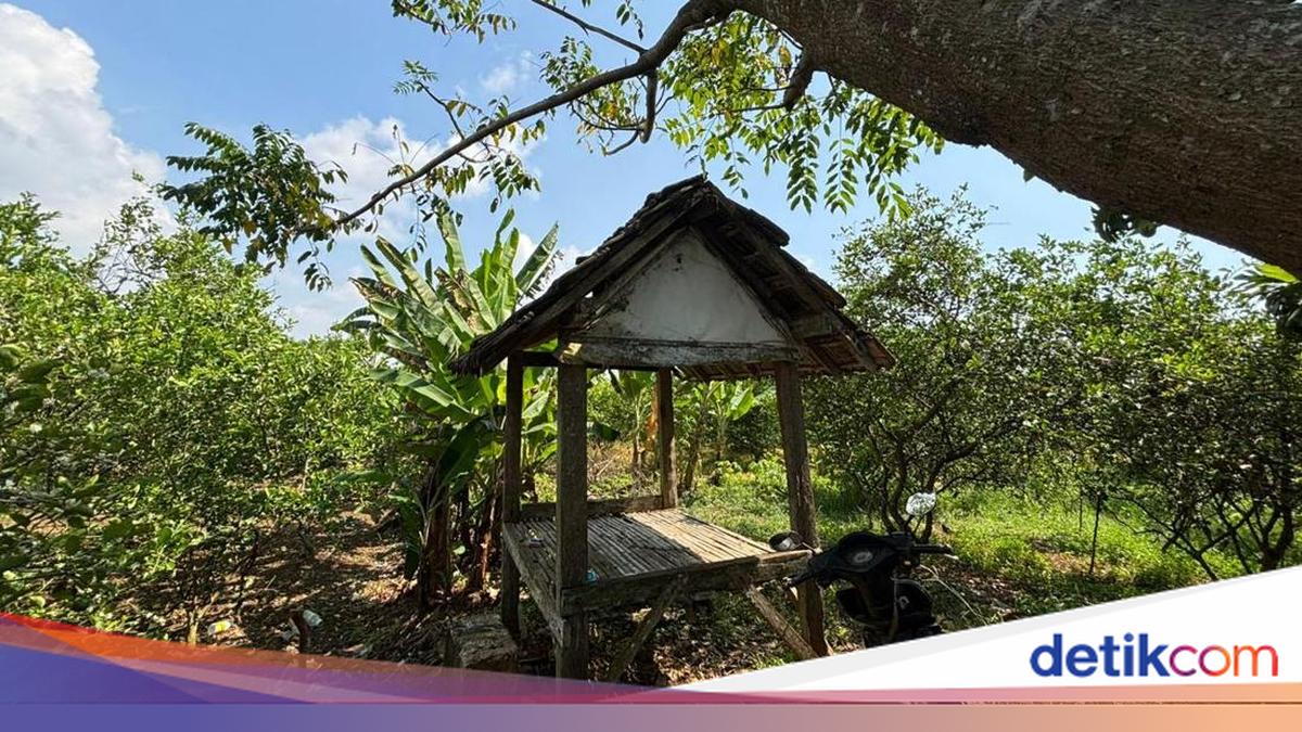lobangpipis Dukun Cabul di Gresik Tega Perkosa Pasien Nan Depresi Usai Bercerai